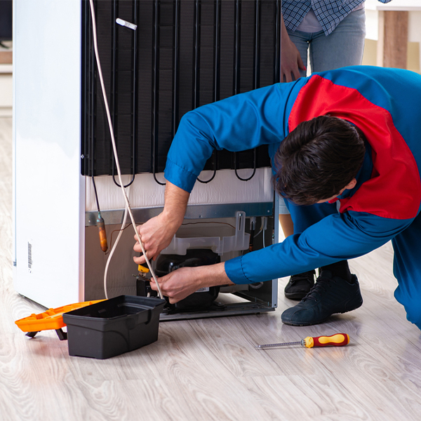 what are the common refrigerator repair services in Fulton MI